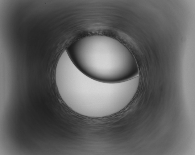 X0000099521060200805151028