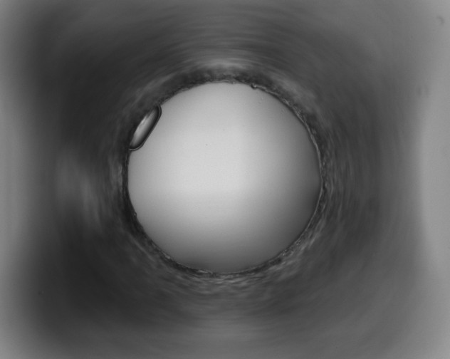 X0000099521061200805151028
