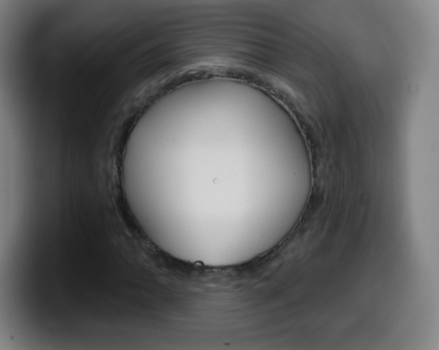 X0000099521062200805151028