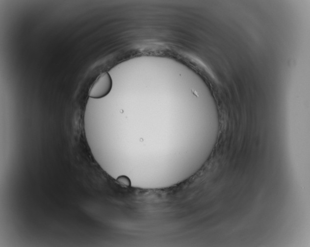 X0000099521063200805151028