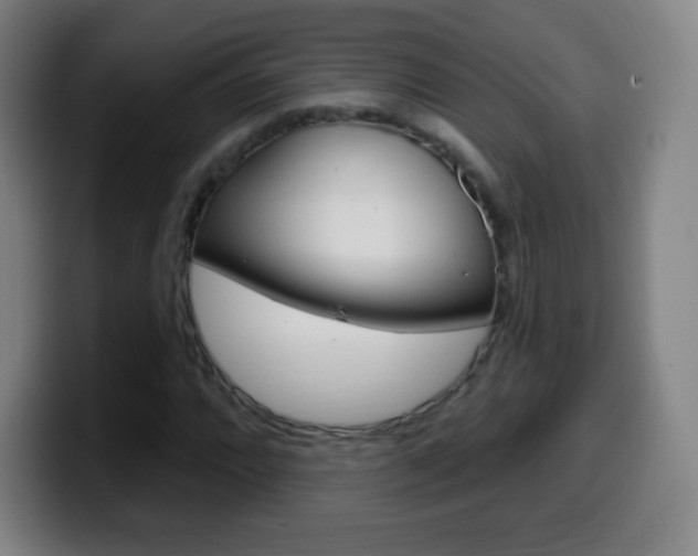 X0000099521064200805151028