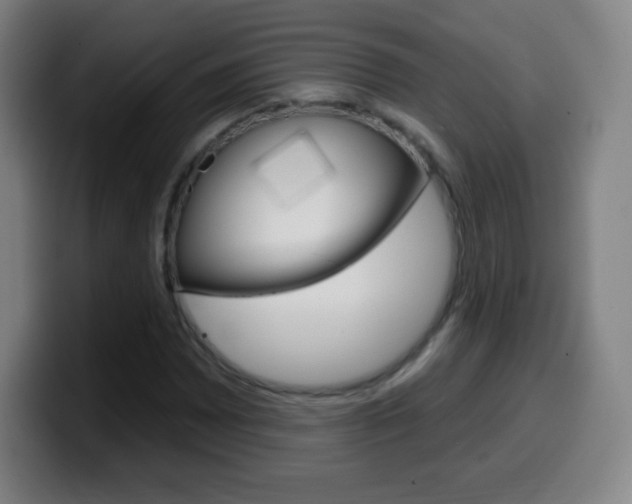 X0000099521065200805151028