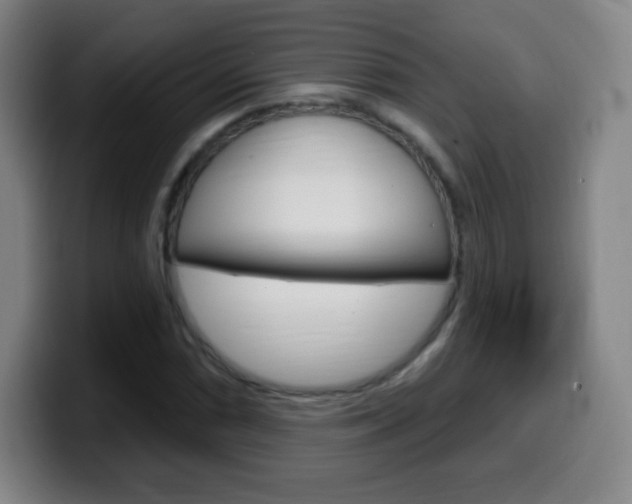 X0000099521066200805151028