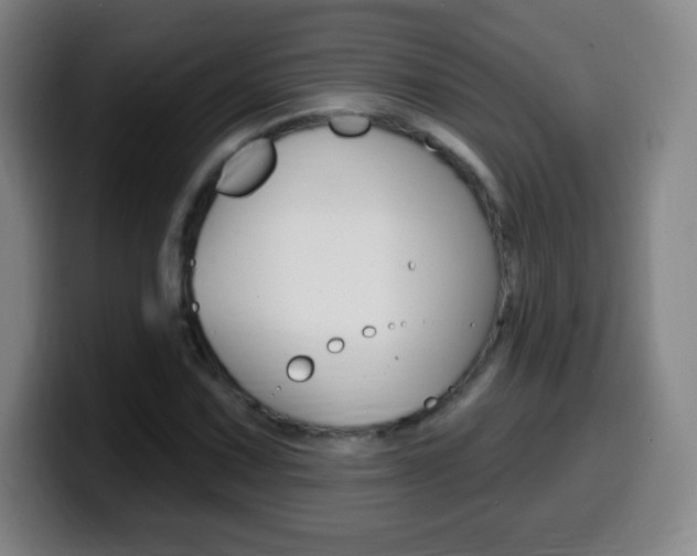 X0000099521067200805151028