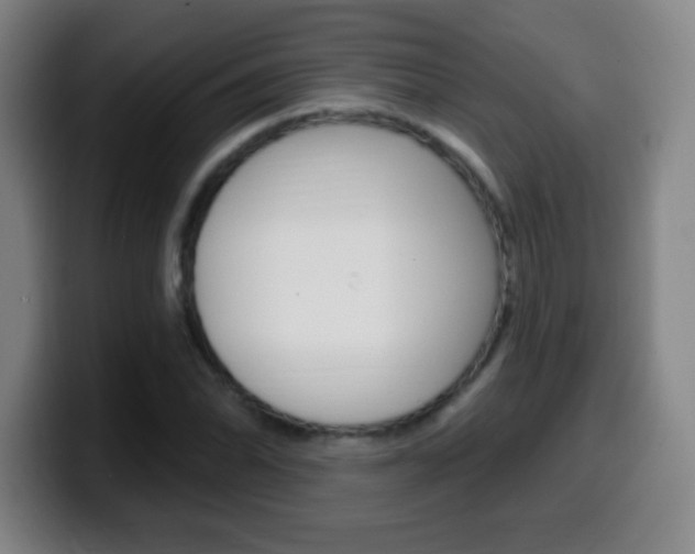 X0000099521070200805151027