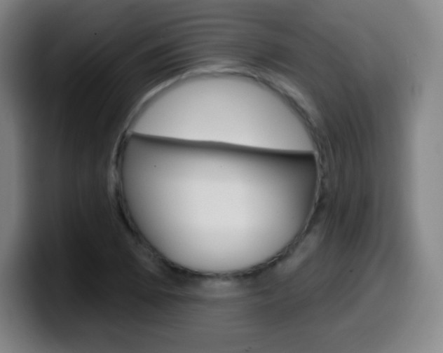 X0000099521073200805151027