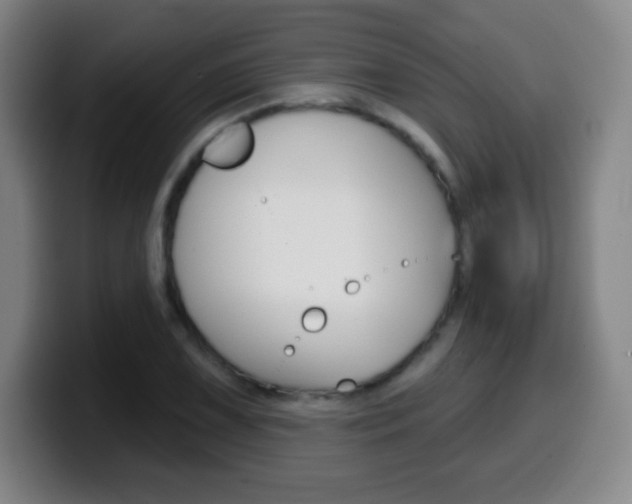 X0000099521075200805151027
