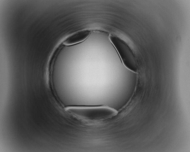 X0000099521076200805151027