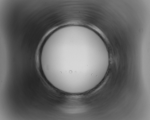 X0000099521078200805151027