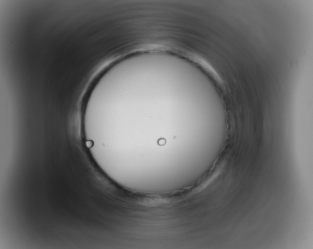 X0000099521079200805151027