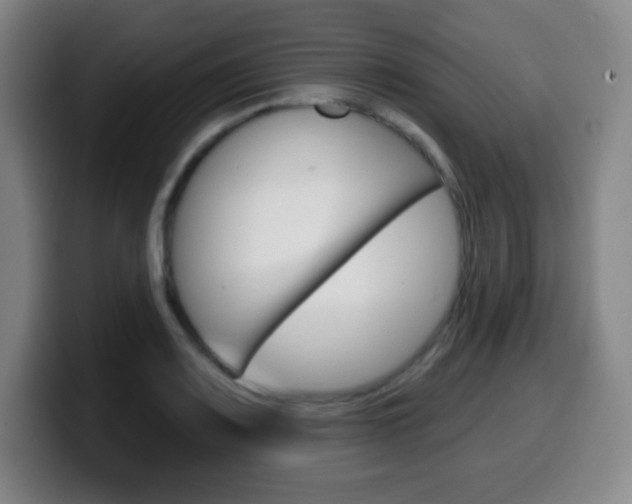 X0000099521083200805151027