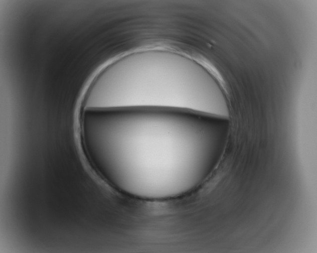 X0000099521088200805151027