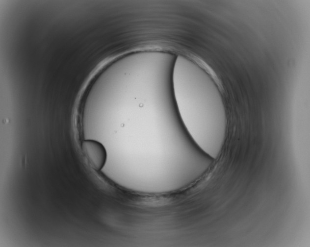 X0000099521091200805151027