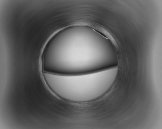 X0000099521092200805151027