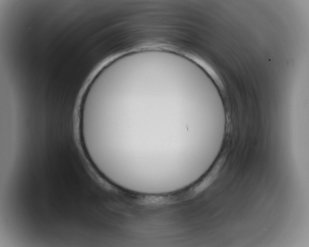 X0000099521094200805151027