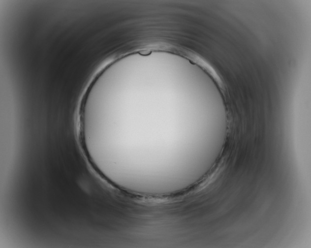 X0000099521095200805151027