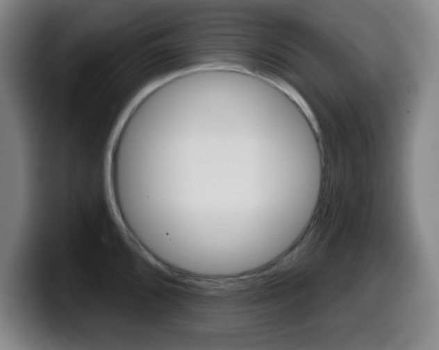 X0000099521096200805151027