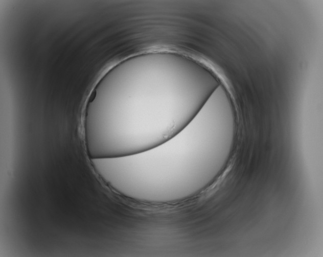 X0000099521097200805151027