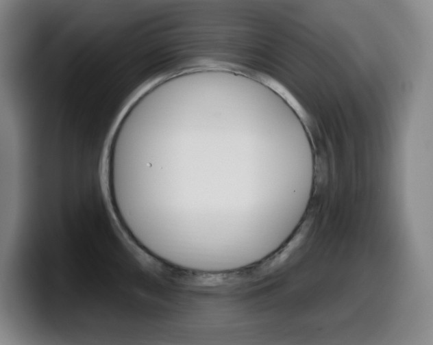 X0000099521098200805151027