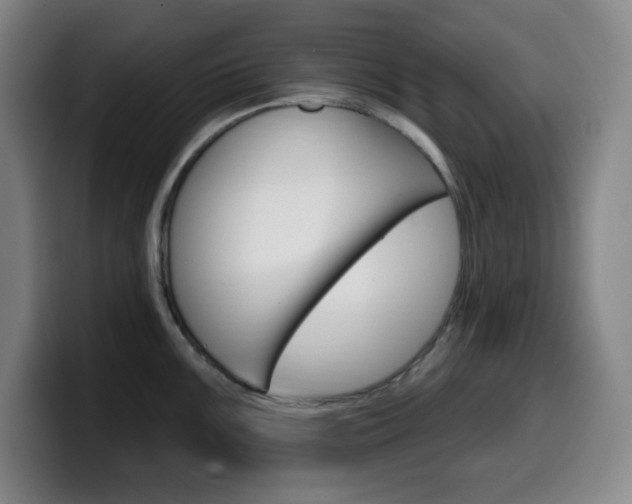 X0000099521099200805151027