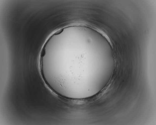 X0000099521103200805151027