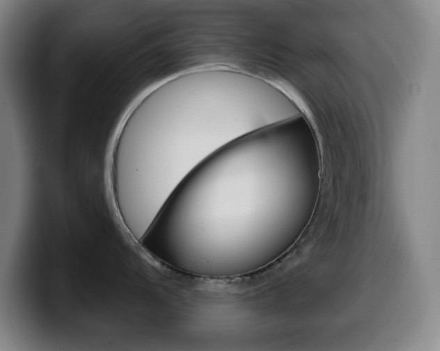 X0000099521104200805151027