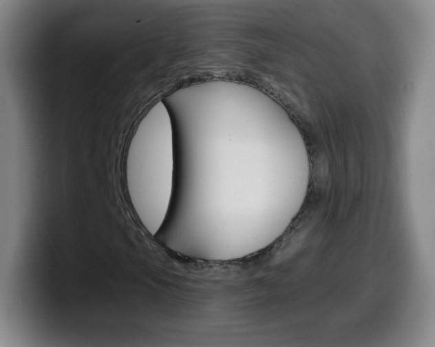 X0000099521105200805151026