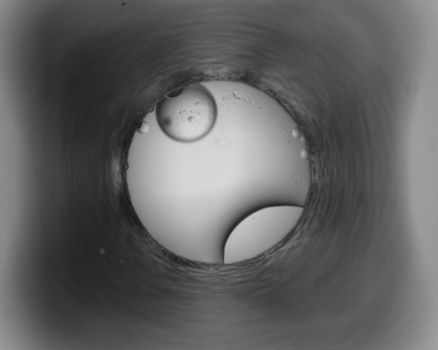 X0000099521106200805151026