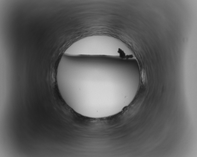 X0000099521107200805151026