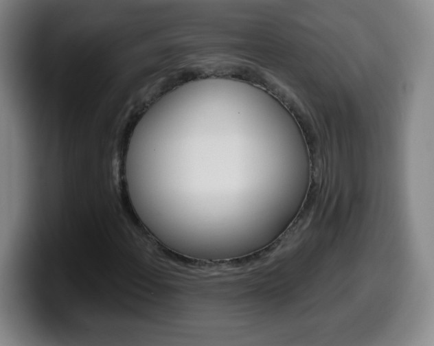 X0000099521108200805151026