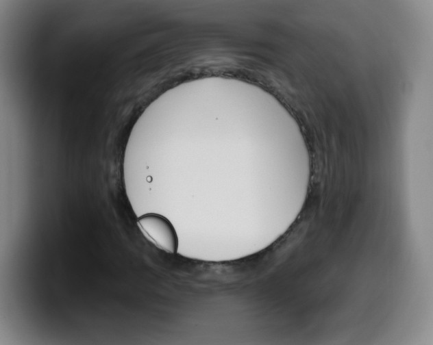 X0000099521109200805151026