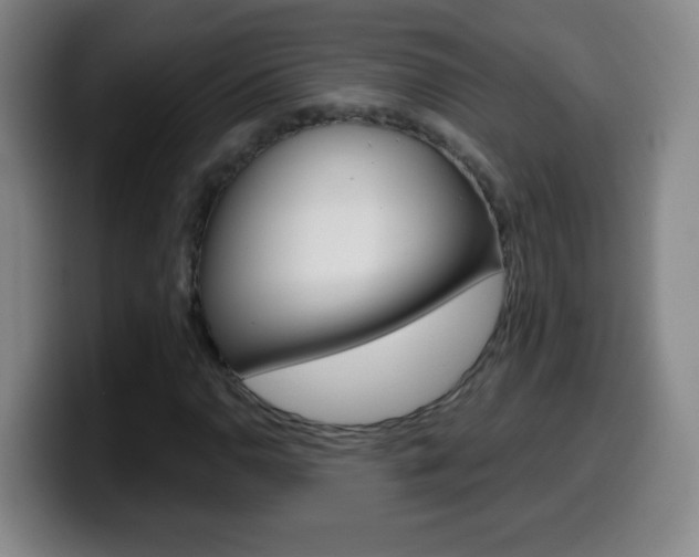 X0000099521110200805151026