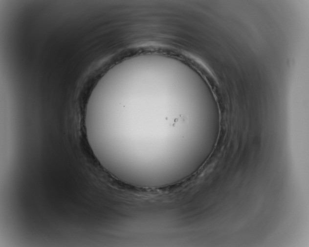 X0000099521111200805151026