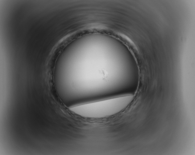 X0000099521112200805151026