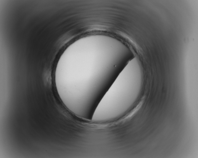 X0000099521113200805151026
