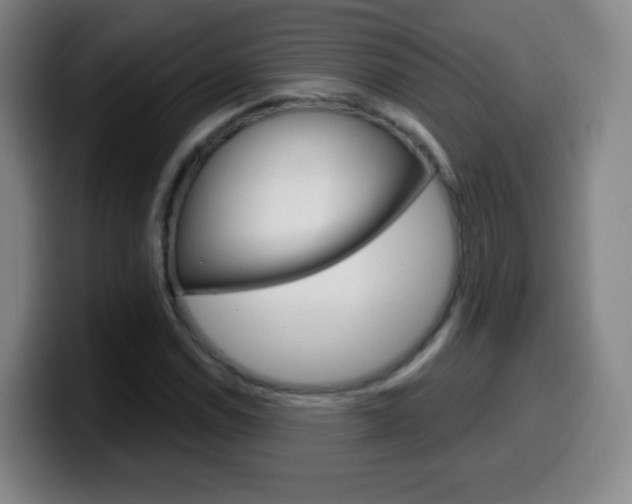 X0000099521114200805151026