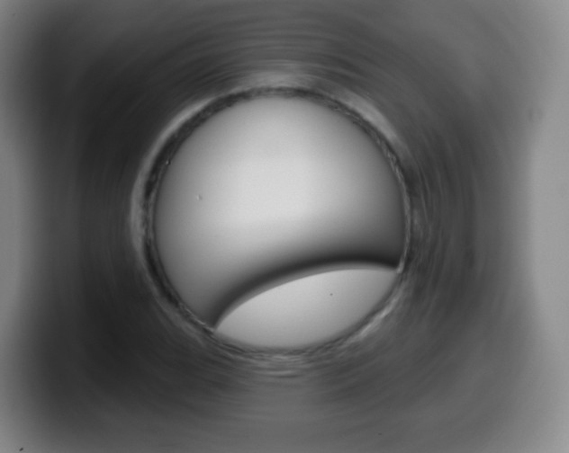 X0000099521119200805151027