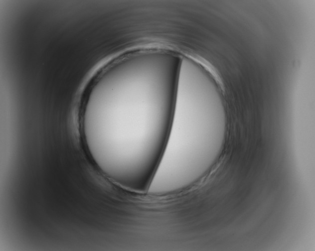 X0000099521120200805151027