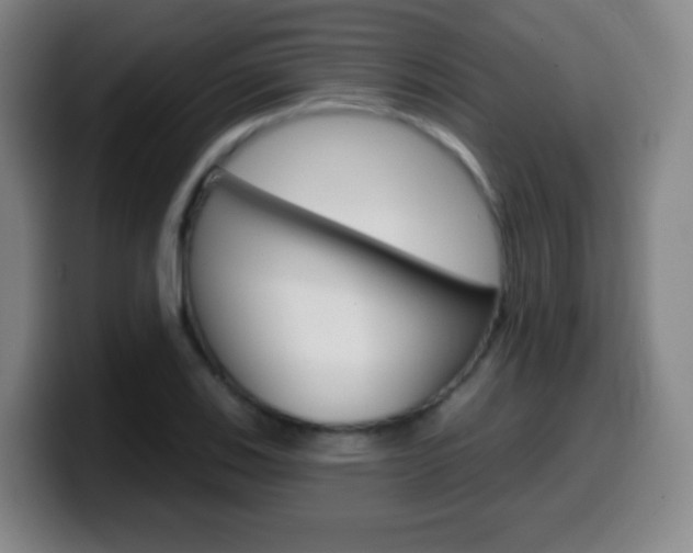 X0000099521123200805151027