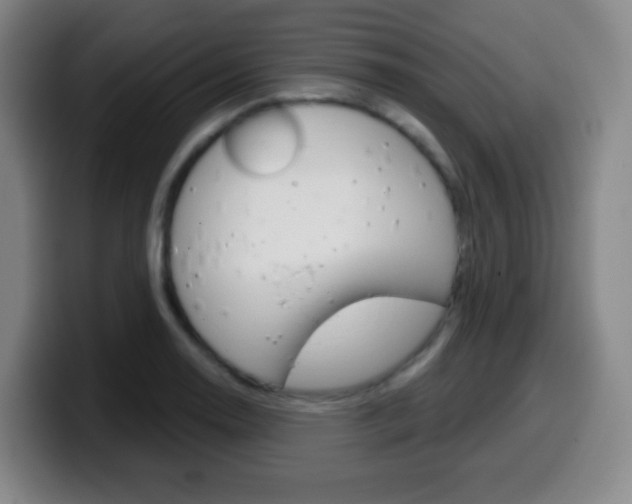 X0000099521130200805151027
