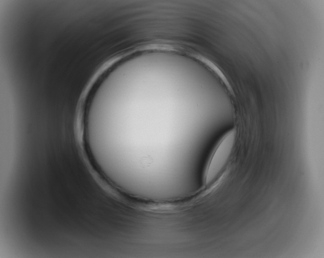 X0000099521131200805151027