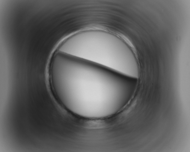 X0000099521133200805151027