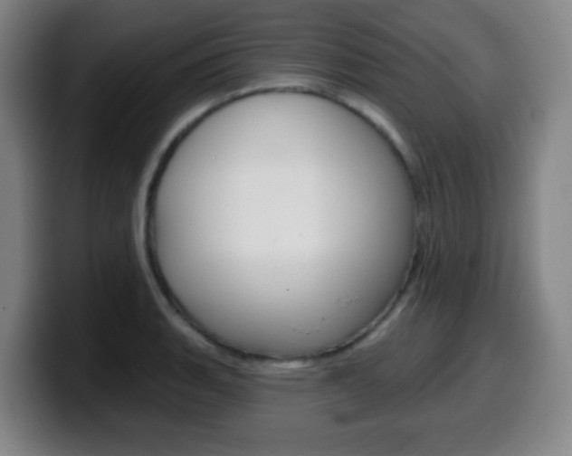 X0000099521135200805151027