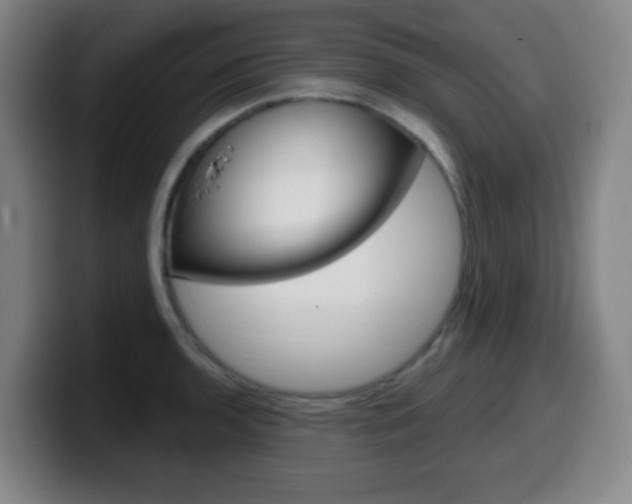 X0000099521136200805151027