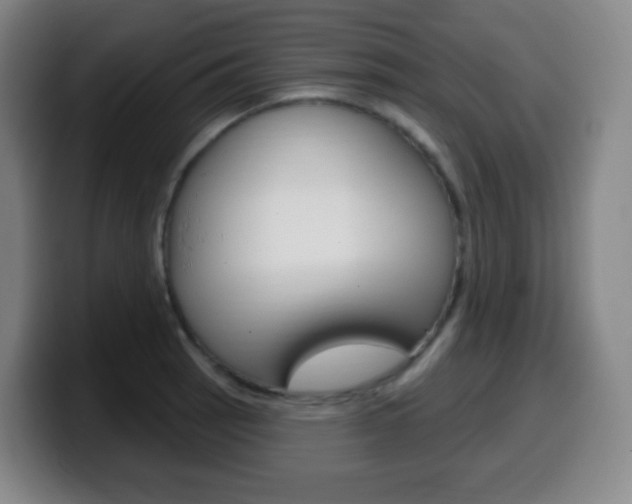 X0000099521137200805151027