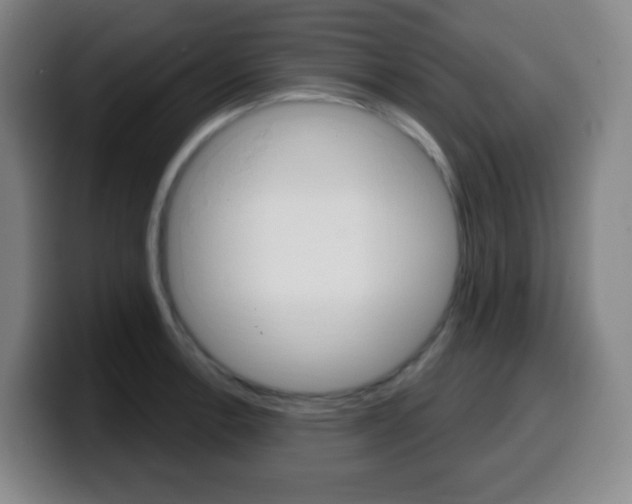 X0000099521138200805151027