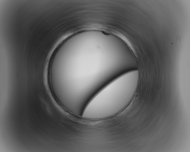 X0000099521139200805151027
