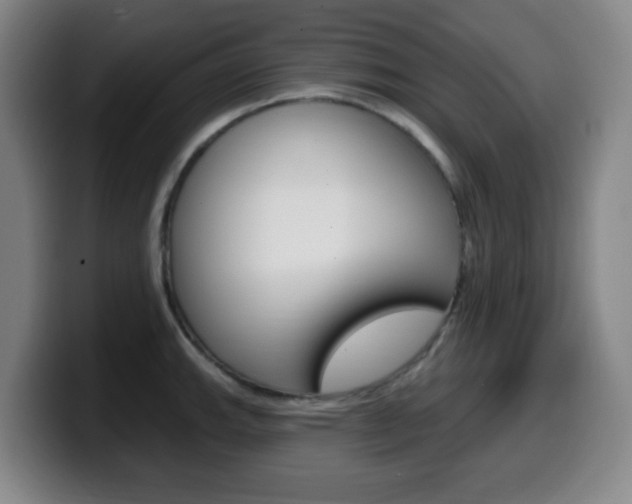 X0000099521143200805151027