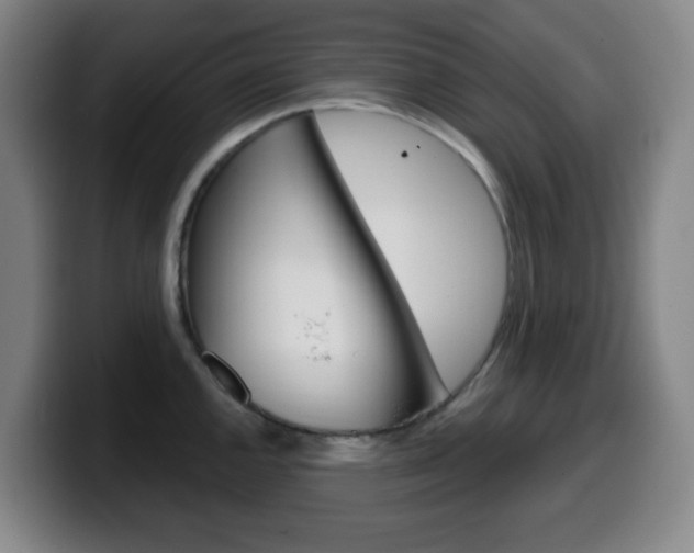 X0000099521144200805151027