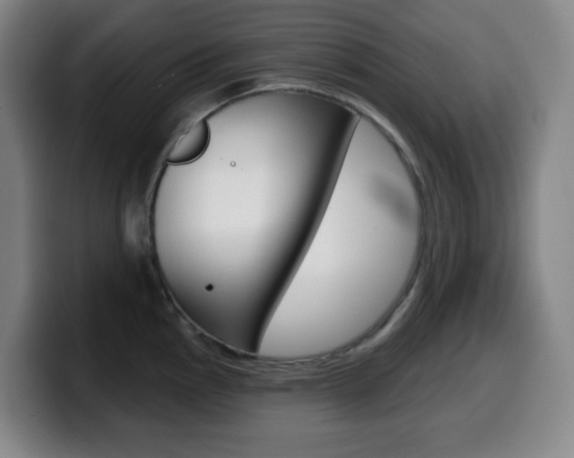 X0000099521145200805151027
